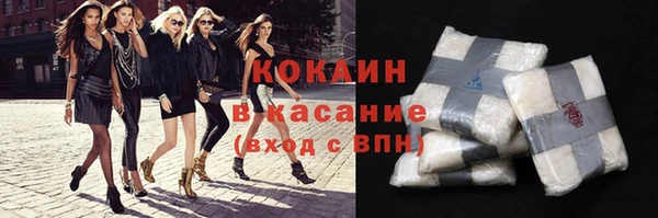 крисы Няндома