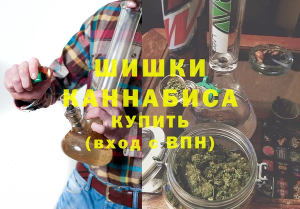 крисы Няндома