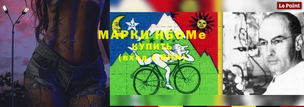 крисы Няндома