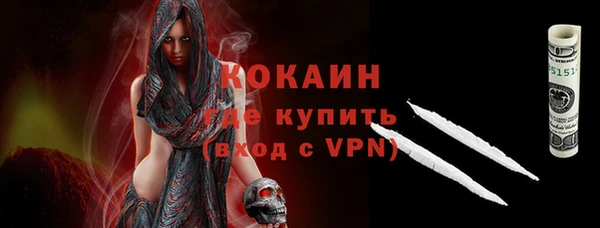 крисы Няндома
