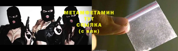 крисы Няндома