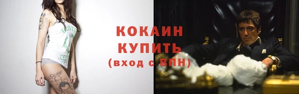 крисы Няндома