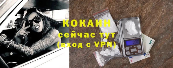 крисы Апатиты