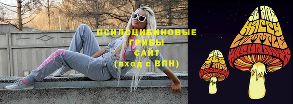 2c-b Нягань