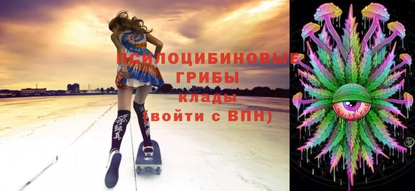 крисы Няндома