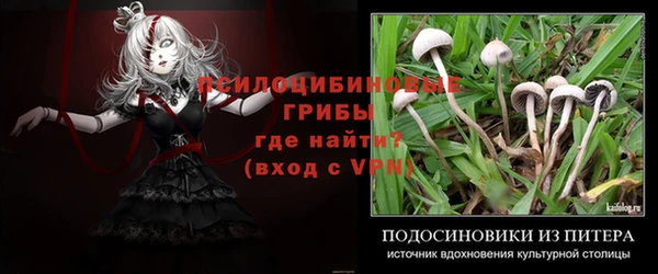 2c-b Нягань
