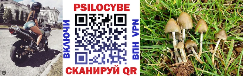 Галлюциногенные грибы Psilocybine cubensis  Севастополь 
